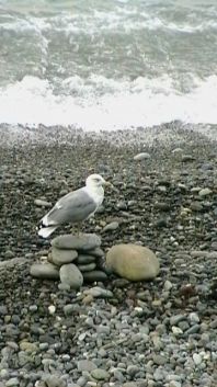 Наталья Воеводская