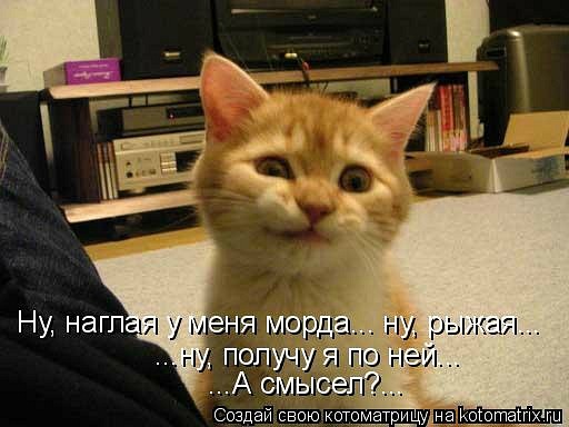 Котэ