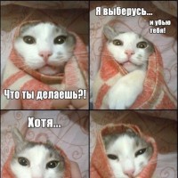 Девушки, приколы и всё такое