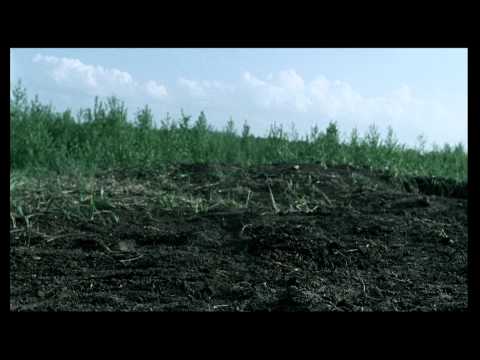 Евгений Ткачук «Заберите  своих мертвецов» часть 2