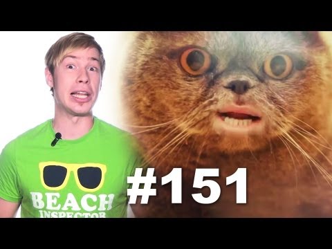 Кот Сальвадор ( O ) п ( O ) [Salvador the cat]