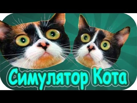 Супер Симулятор Кота 2014