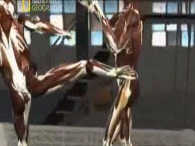 Наука рукопашного боя