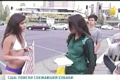 Скандальная Рекламная  Акция