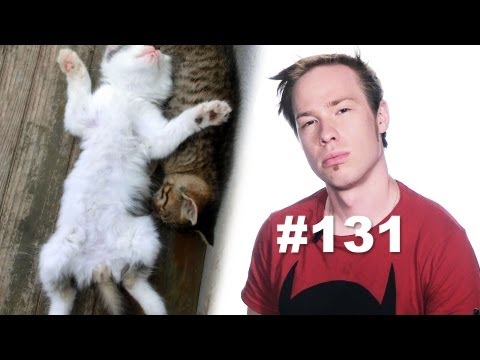 Дом, ковёр, сон! ^w^ [Home, cover, dream] 131 выпуск