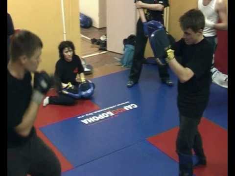 Отработка ударов на лапах 8/12