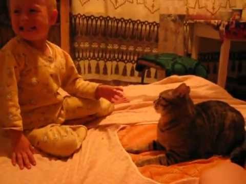 Кот жестоко избивает ребенка ШОК! Жесть!
