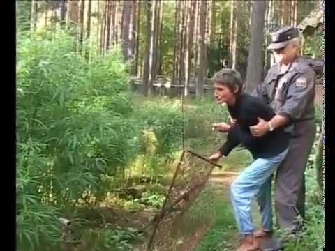 Оставь дозреть! Абсолютно никакого вредного воздействия