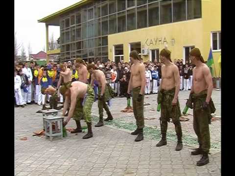 Показательные выступления ВДВ