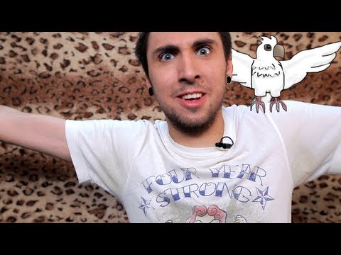 +100500 - Попугай 78 выпуск